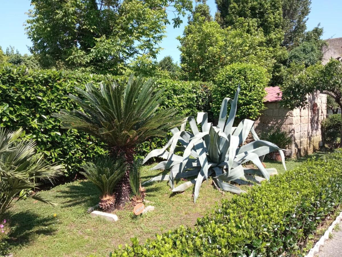 Il Giardino Degli Agrumi Caserta Exterior foto